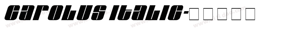 Carolus Italic字体转换